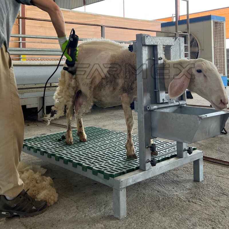 Headlock for Goat Sheep 1U with Base-Anti Rust Hot-Dip Galvanised
