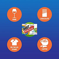 Shout Wipe & Go, Laundry Instant Stain Remover, 12 Wipes
