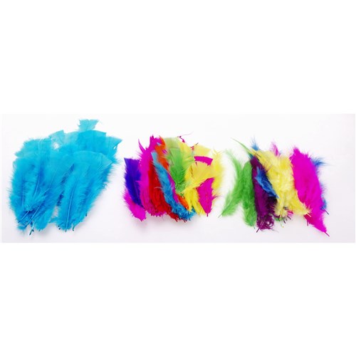 Jasart Feathers Large 30gm Assorted