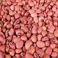 COWPEA VINE - RED KODI KARAMANI | சிகப்பு கொடி காராமணி