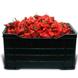 Habanero Habanero