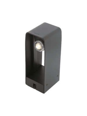 in-lite ACE