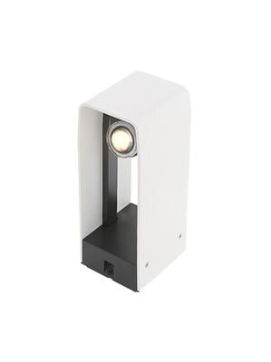 in-lite ACE