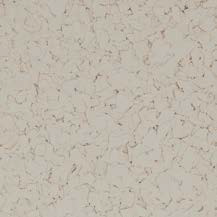 Ivory Chips