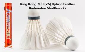 KAWASAKI  King Kong 700 Hybrid Feather - Speed 76