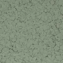 Light Green Chips