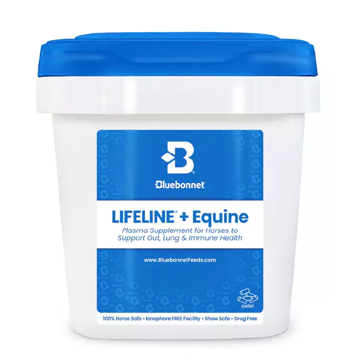 Lifeline 12.5lb