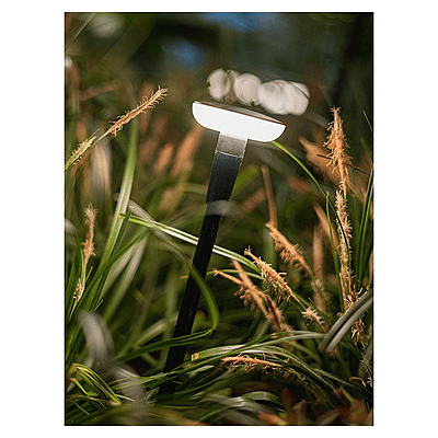 in-lite Mini Sway