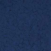 Navy Chips