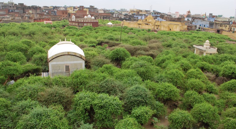 Agra and Vrindavan Combo Tour Agra and Vrindavan Combo Tour