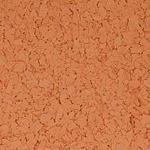 Pale Orange Chips