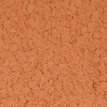 Pale Orange Chips