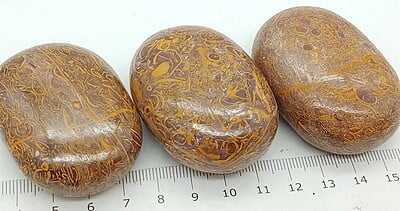 Miriam Jasper Palmstones (India)