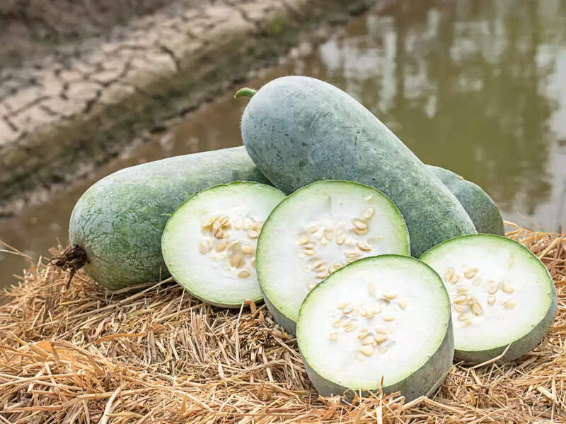 POOSANI PARANGI SURAKAI BOTTLE GOURD (பூசணி பரங்கி சுரைகாய்)