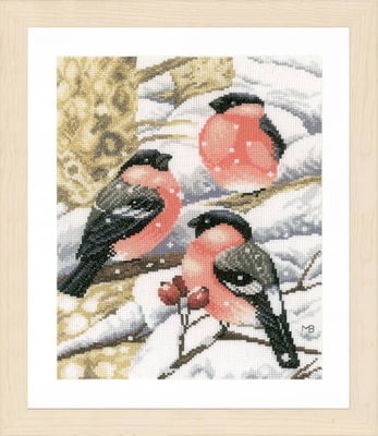 Pettirossi con neve