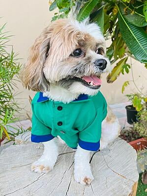 POLO T-SHIRT GREEN POLO T-SHIRT GREEN