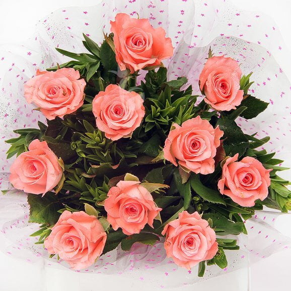 Pink Roses Pink Roses