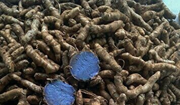 Karu Manjal - Black Turmeric கரு மஞ்சள்