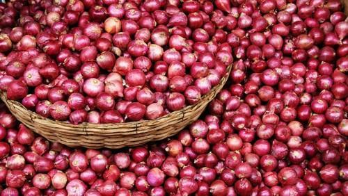 பெல்லாரி வெங்காயம் | Big Onion