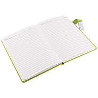 Green Corporate Diary With Pen