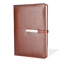 Tan Corporate Diary With Pen & Box