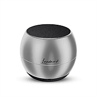 Landmark Shell Silver Portable Speaker