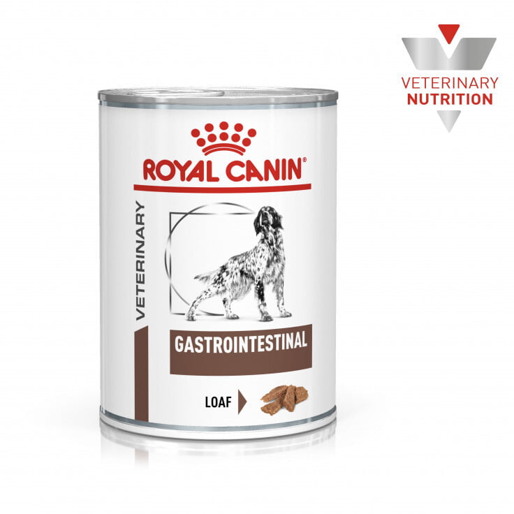 Vet Health Nutrition Canine GastroIntestinal (WET FOOD - Cans) 400G Vet Health Nutrition Canine GastroIntestinal (WET FOOD - Cans) 400G