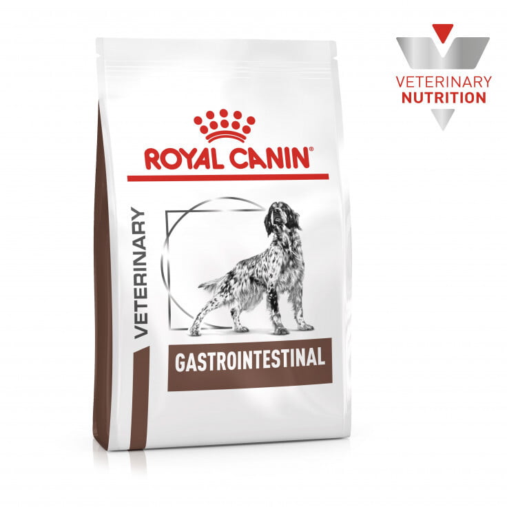 Vet Health Nutrition Canine GastroIntestinal 2 KG Vet Health Nutrition Canine GastroIntestinal 2 KG