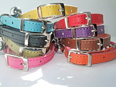 Cats Leather Kitten Collar Pink Blue Red Brown Black Safety Elastic Purple