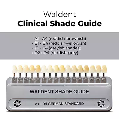 Waldent Clinical Shade Guide (For VITA Shades, German Standard) Waldent Clinical Shade Guide (For VITA Shades, German Standard)