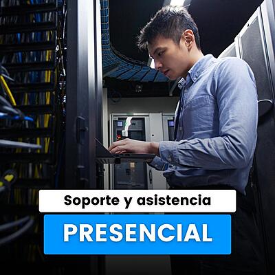 Soporte y Asistencia Presencial*