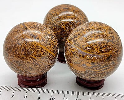 Miriam Jasper Sphere (India)