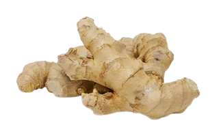 Ginger