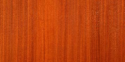 Transparent Redwood Transparent Redwood