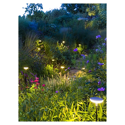 in-lite Sway Low in-lite Sway Low
