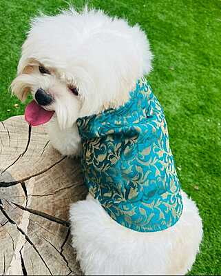 TEAL FESTIVE JACKET TEAL FESTIVE JACKET
