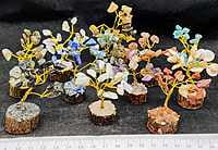65-70mm Gem Trees 65-70mm Gem Trees