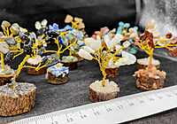 65-70mm Gem Trees 65-70mm Gem Trees