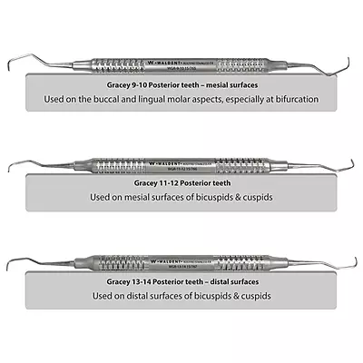 Waldent Gracey Curettes Set of 7 Waldent Gracey Curettes Set of 7