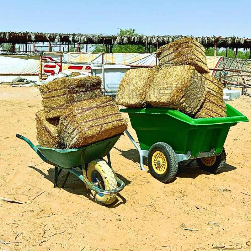 Wheelbarrow Farmex WB300 - Green Wheelbarrow Farmex WB300 - Green