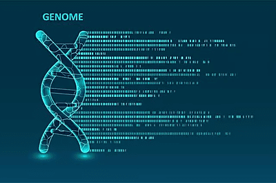 FISH for Trisomy/ Monosomy of chromosome-8