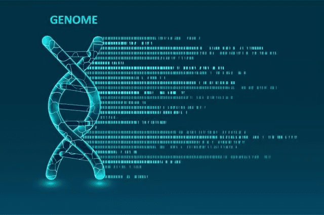FISH for Trisomy/ Monosomy of chromosome-8