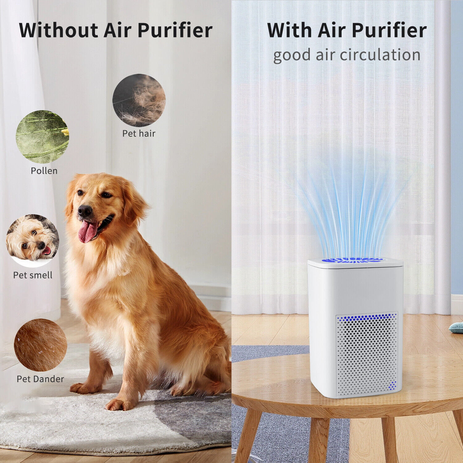 Keeping Your Furry Friends and Your Lungs Happy Keeping Your Furry Friends and Your Lungs Happy