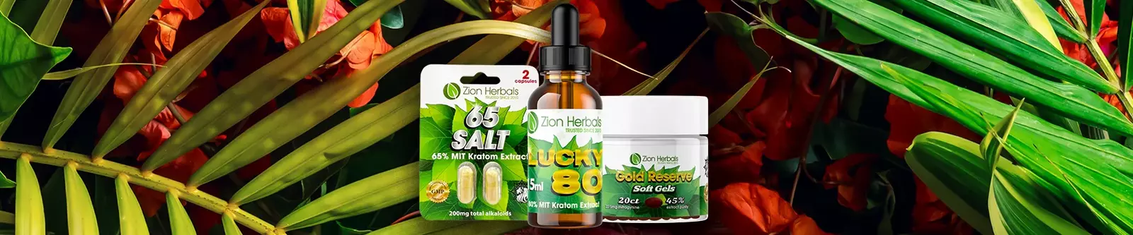 zion herbals